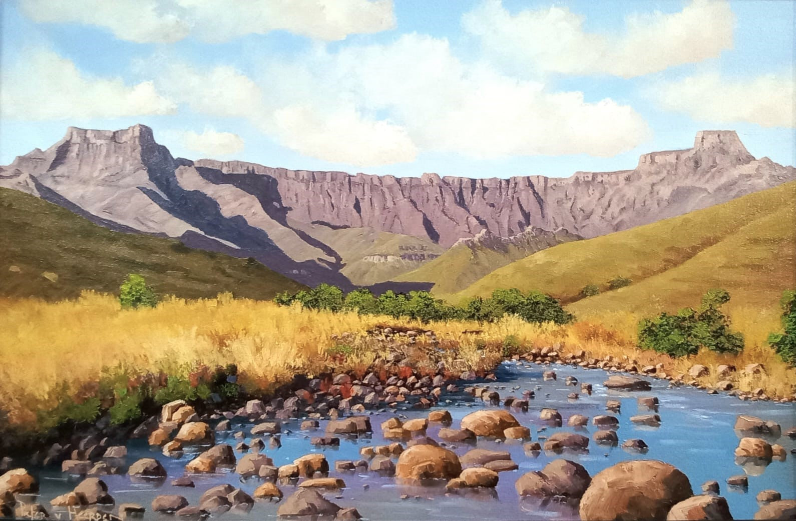 Pieter Van Heerden – Purple Heart Gallery and Framing