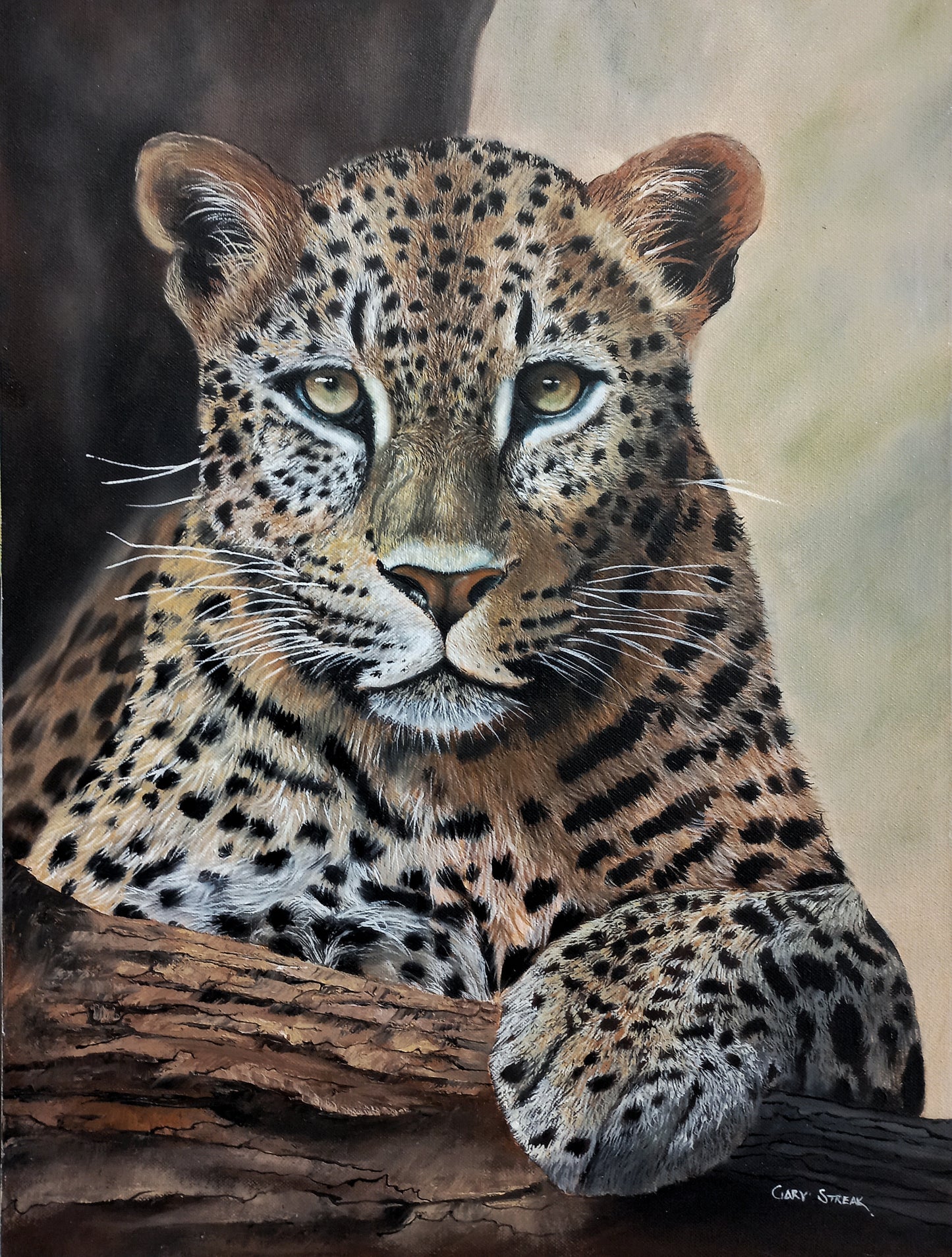 Leopard Portrait
