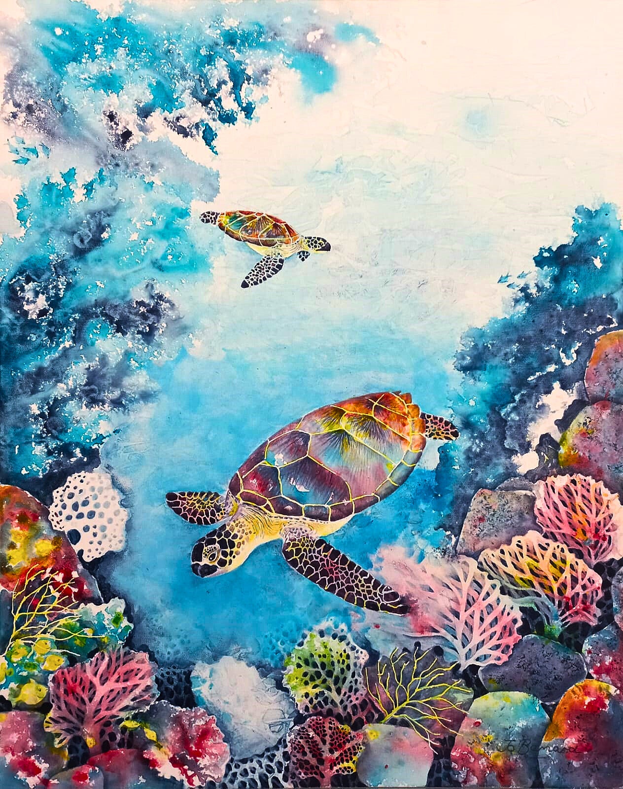 Sea Turtles in Coral Light