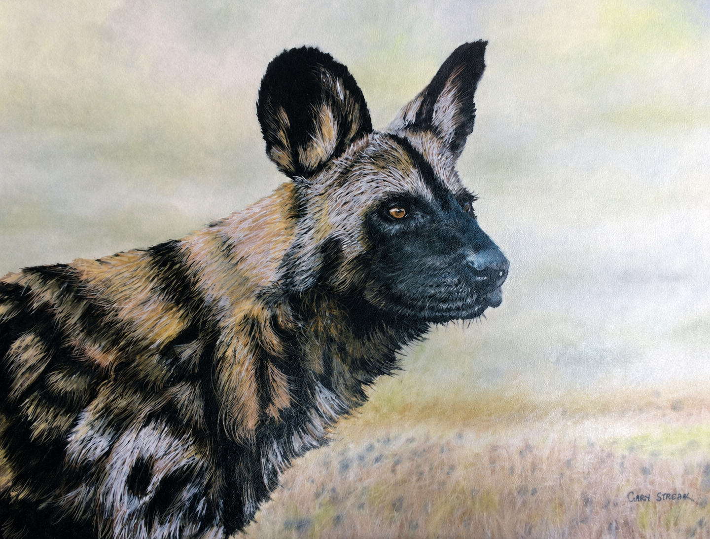 Original oil artwork featuring an African wild dog portrait with soft natural tones and detailed markings.