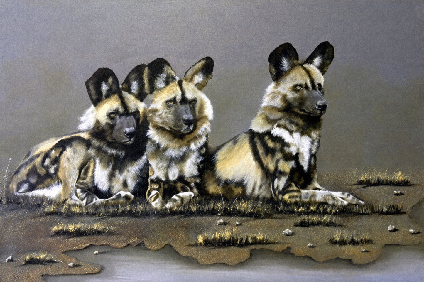 Original oil artwork featuring three African wild dogs resting together in a calm natural setting.