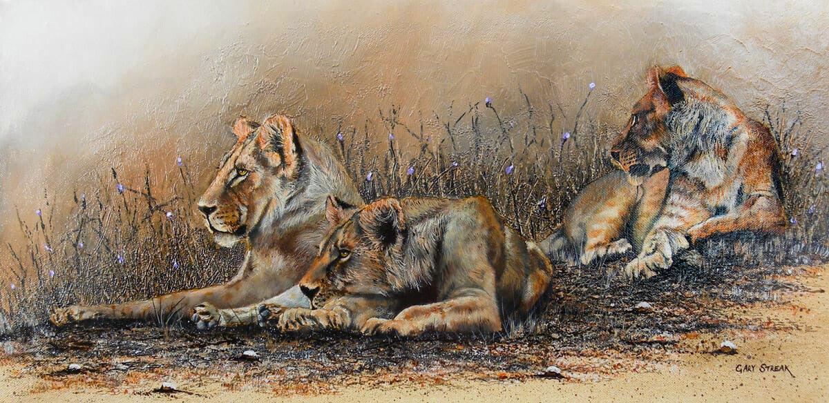 Oil painting of three lionesses resting together on dry earth, surrounded by sparse grass and wildflowers.
