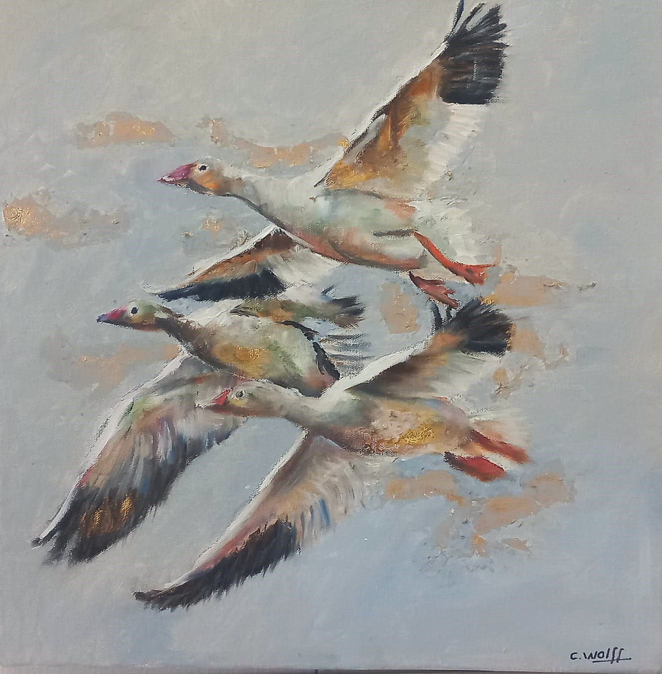 Birds in Flight