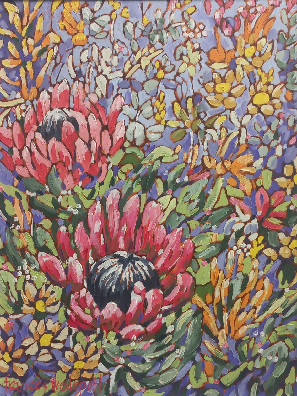 protea2