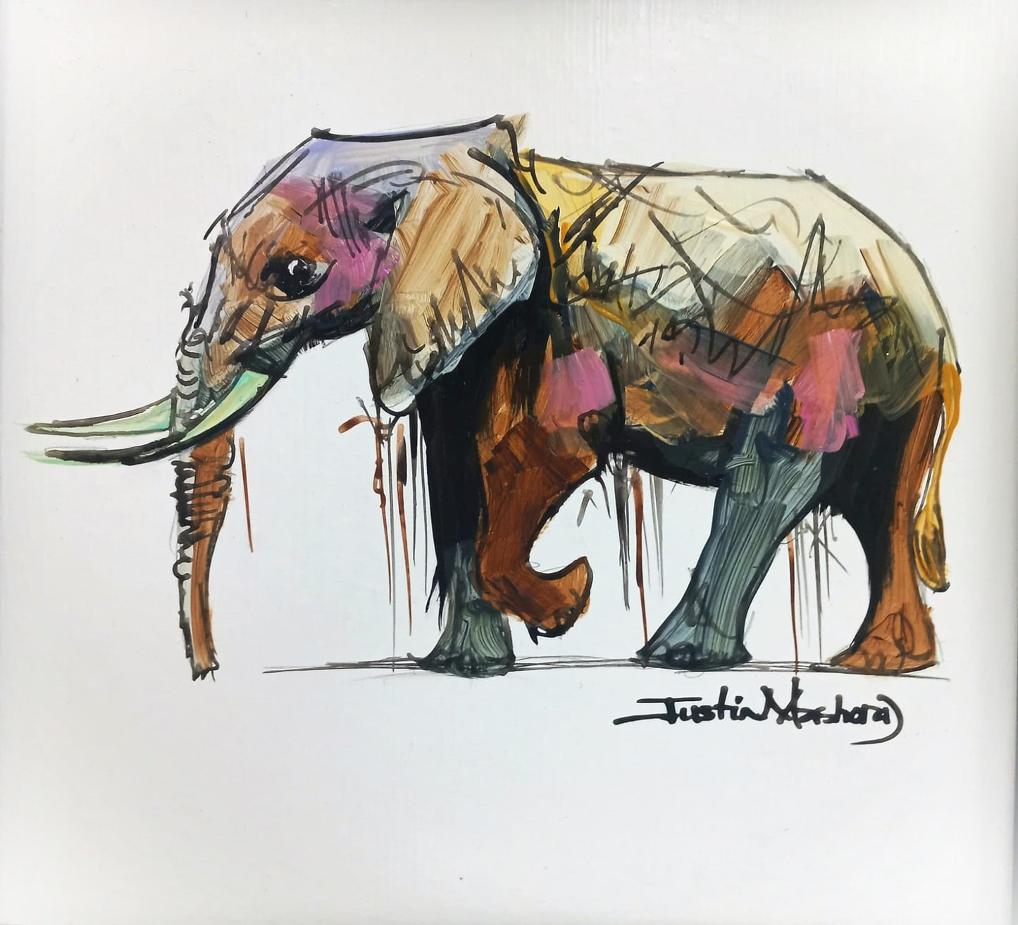 The Wild Life Range