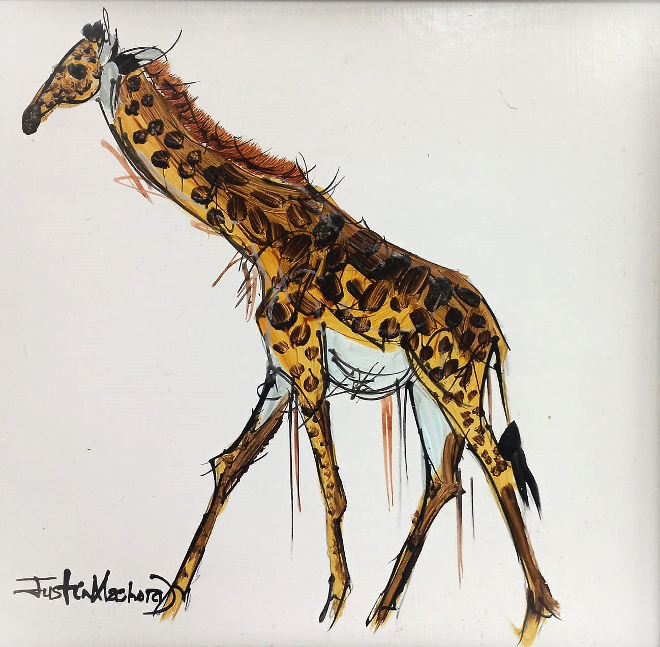 The Wild Life Range