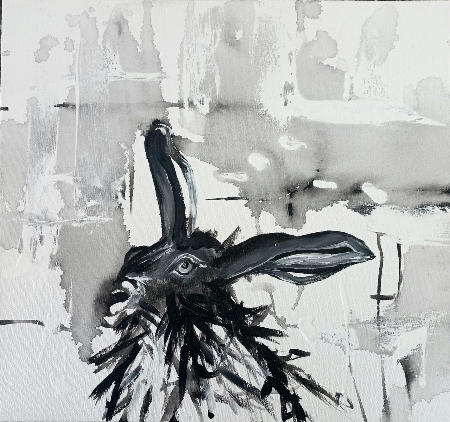 'Bunny Range'