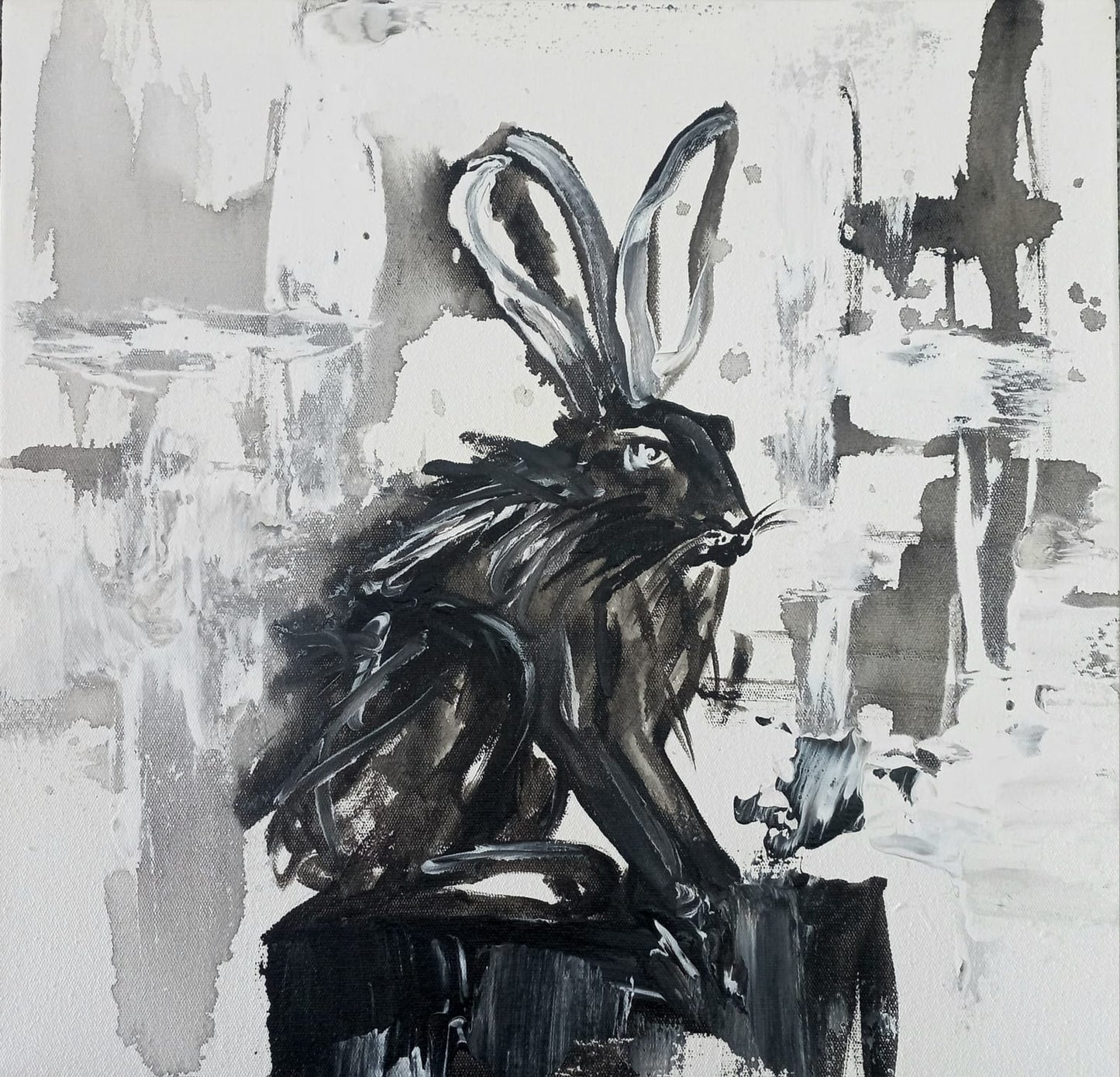 'Bunny Range'