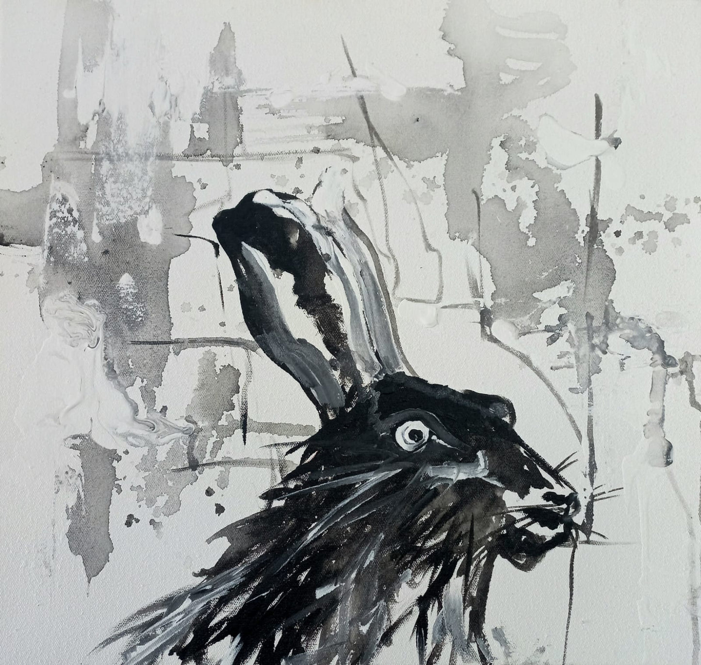 'Bunny Range'