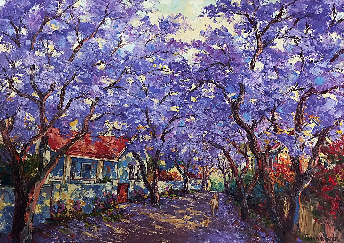 Jacaranda Trees