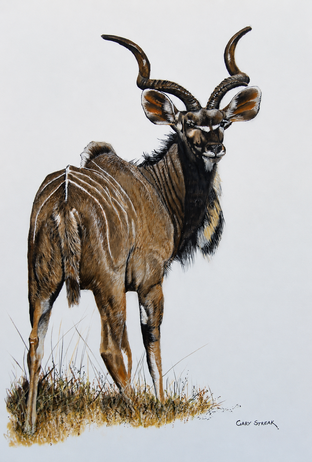 Gary Streak original oil artwork featuring a nyala bull standing in grass against a clean light background.