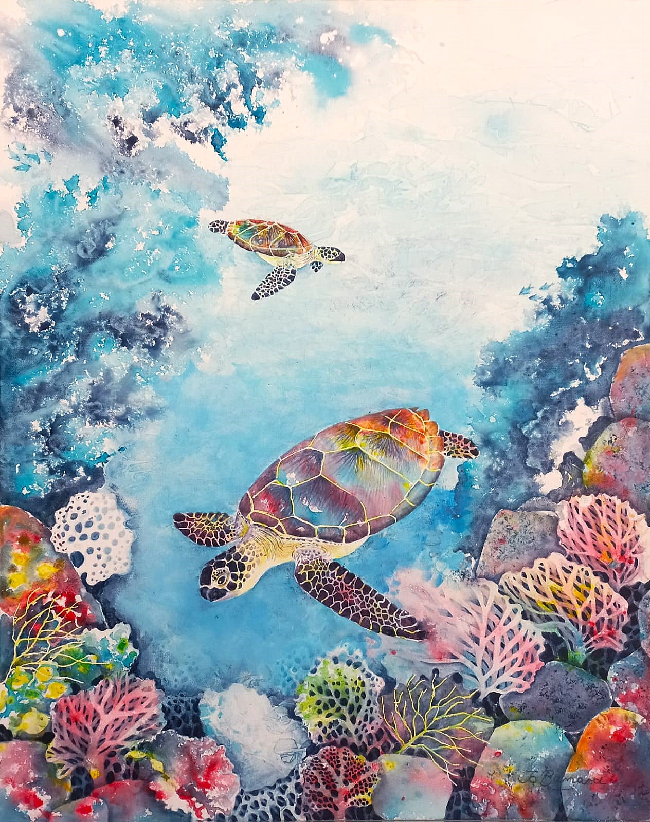 Sea Turtles
