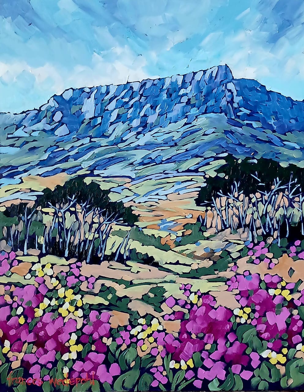 Table Mountain Magic