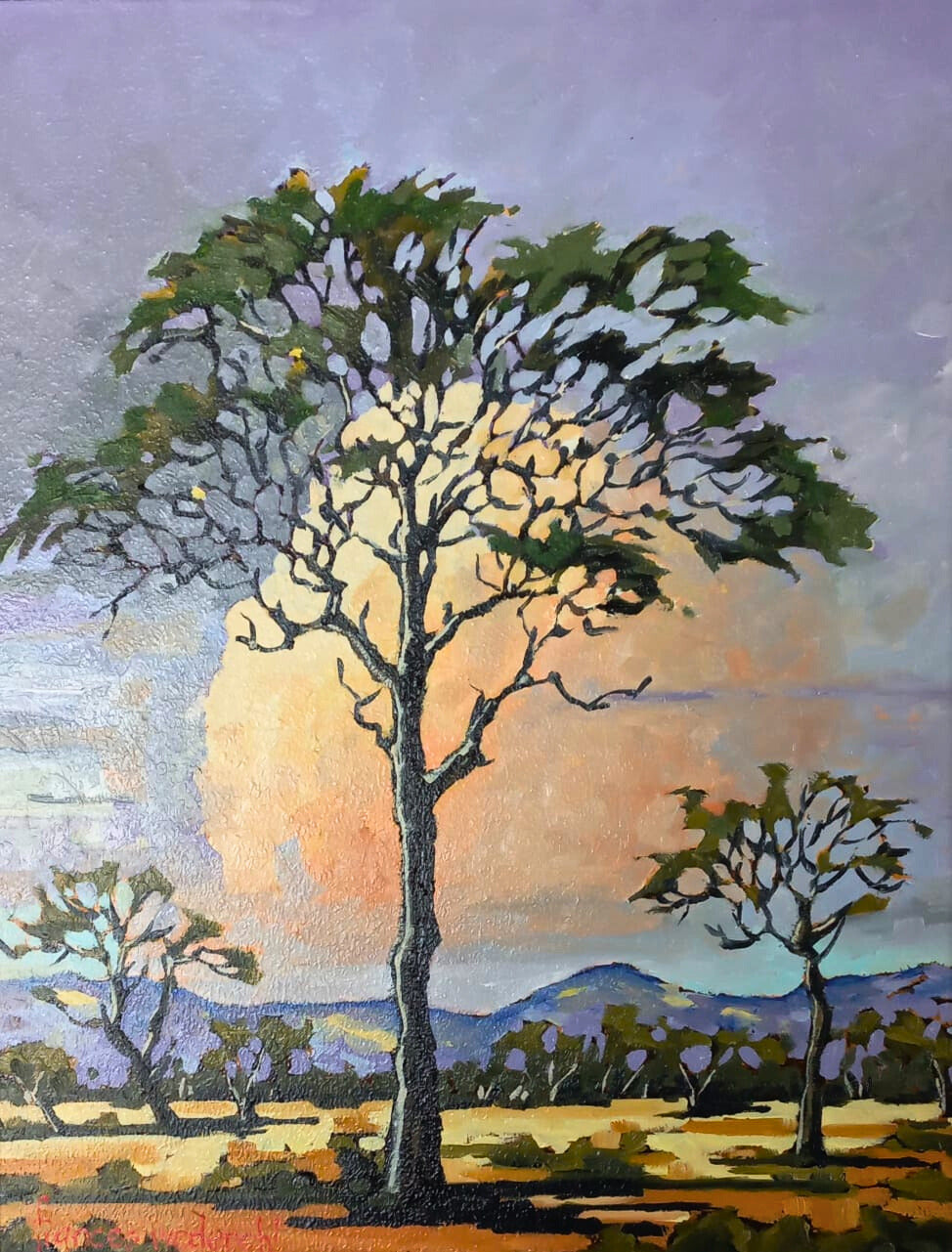 Light (Bushvelt Tree)