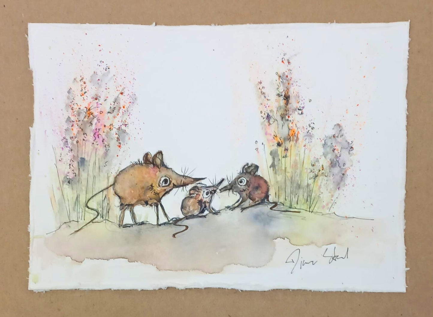 Elephant Shrew (Miniature)