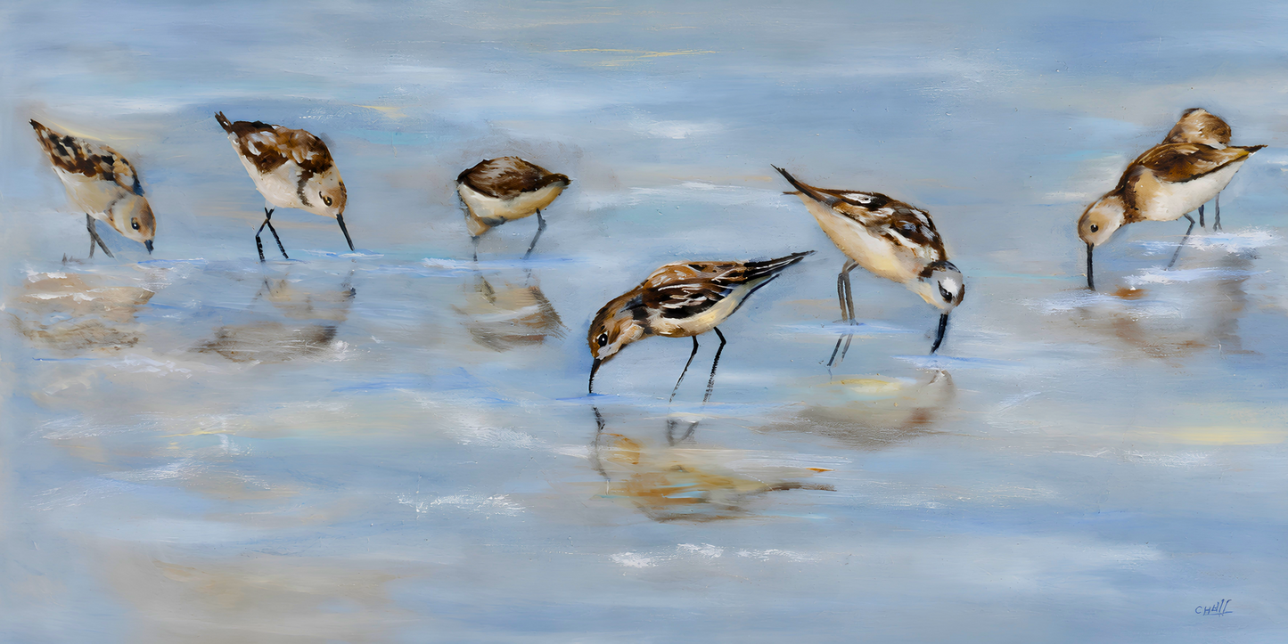 Cornelie Wolff oil artwork on stretched canvas depicting a flock of small shorebirds feeding in calm, shallow coastal water