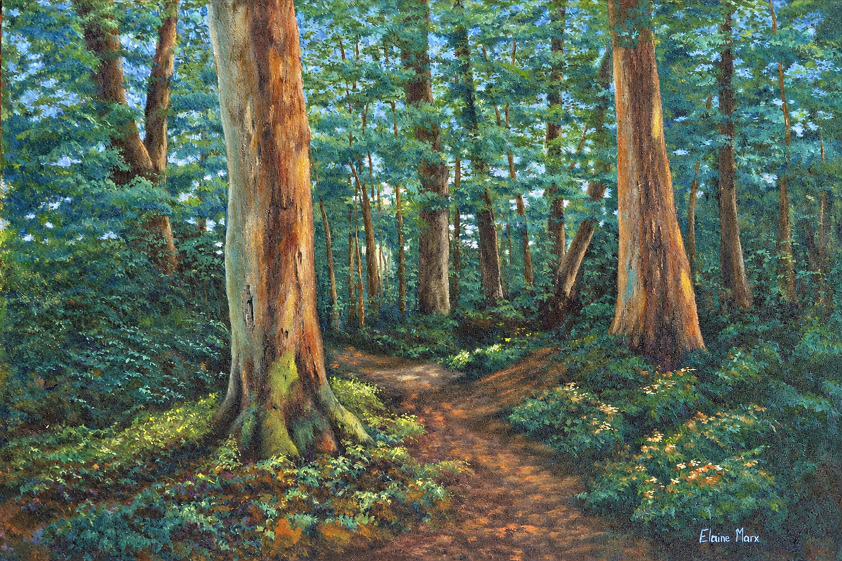 Elaine Marx original landscape artwork depicting a quiet woodland path winding between tall trees and dense green forest vegetation