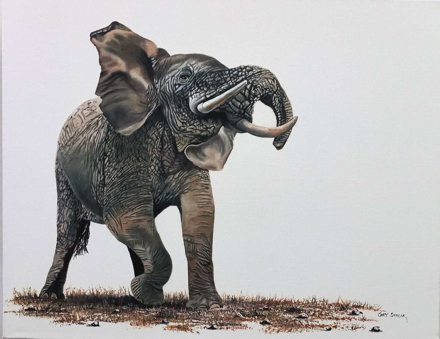 "Musth Season" (Elephant)