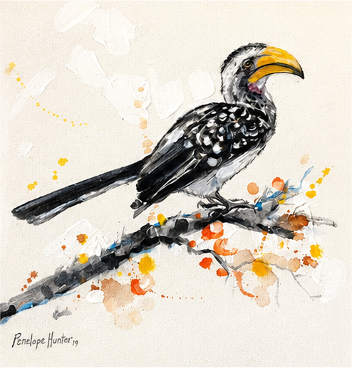 Penelope Hunter original acrylic painting on stretched canvas depicting a black-and-white hornbill with a curved golden bill on a light background