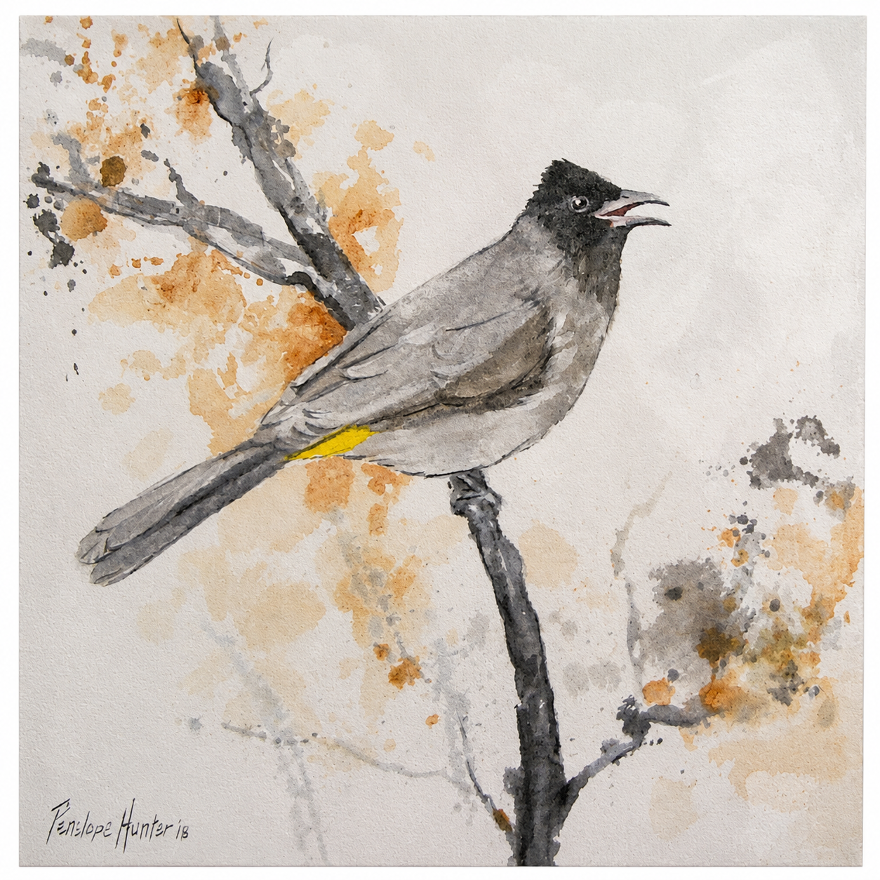 Penelope Hunter original acrylic painting on stretched canvas depicting a soft grey bird perched on a bare branch