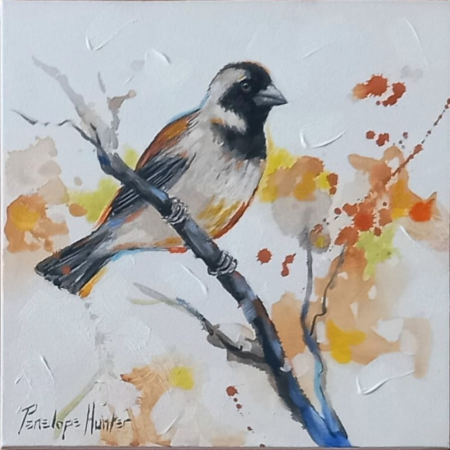 Penelope Hunter original acrylic painting on stretched canvas depicting a grey bird with warm orange markings perched on a dark branch