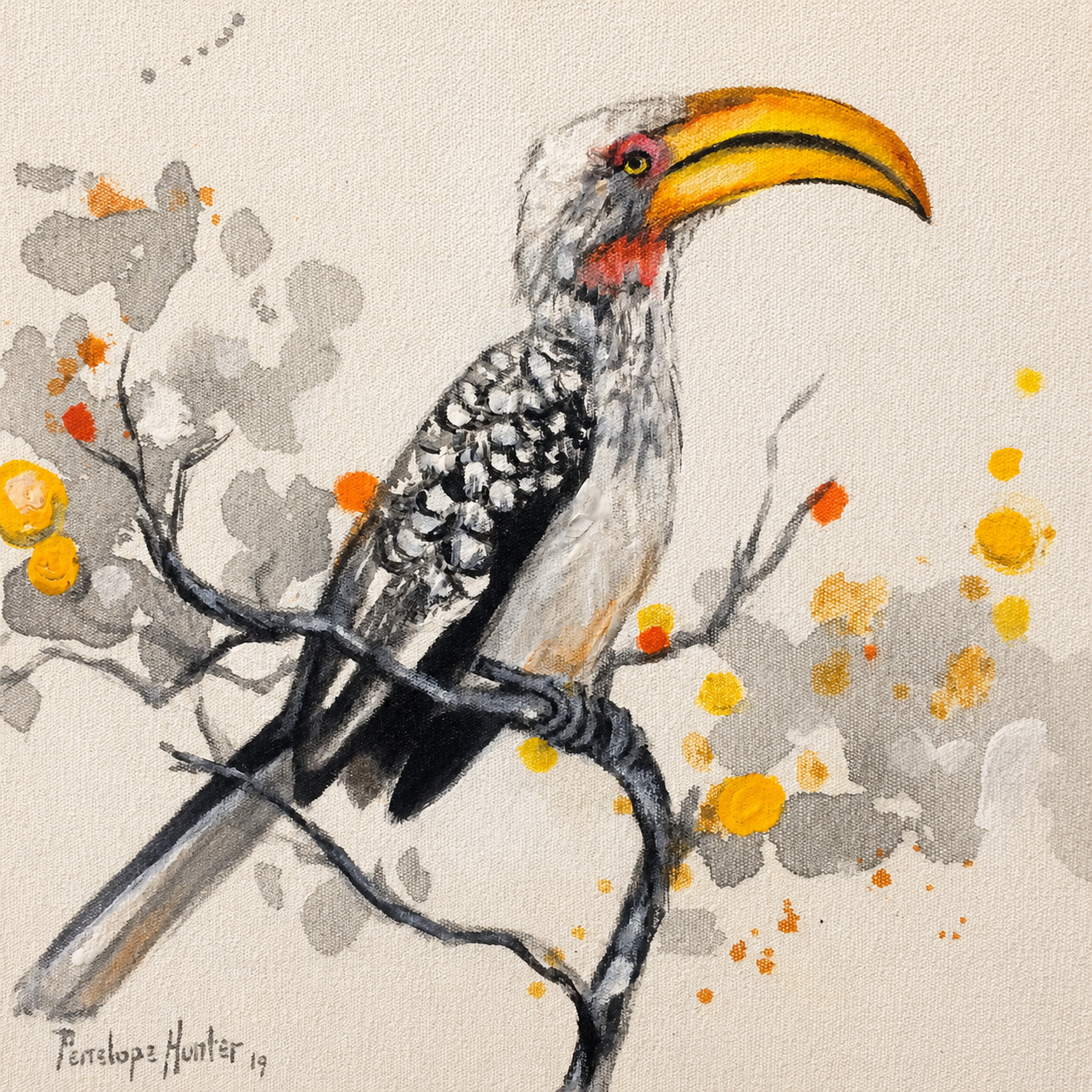 Penelope Hunter original acrylic painting on stretched canvas depicting a black-and-white hornbill with a yellow-orange bill perched on a branch