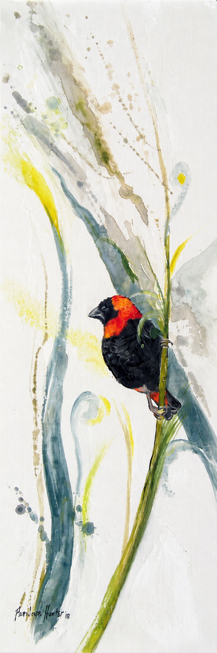 Penelope Hunter original acrylic painting on stretched canvas depicting a red and black bird perched among tall pale green reeds