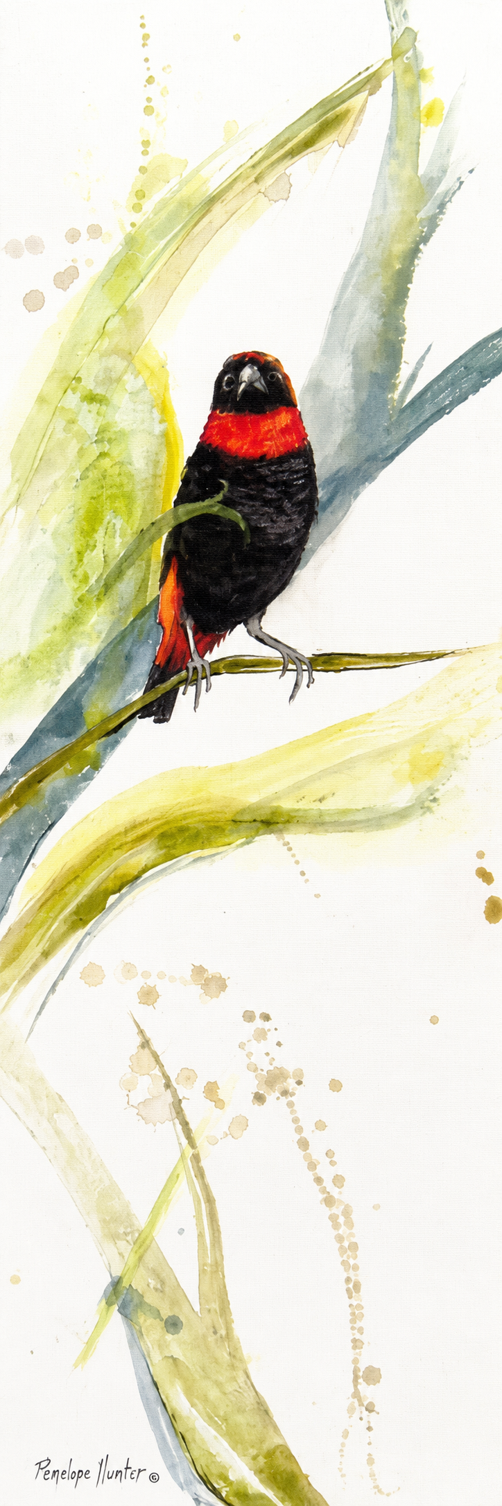 Penelope Hunter original acrylic painting on stretched canvas depicting a red and black bird perched on a pale bamboo stem