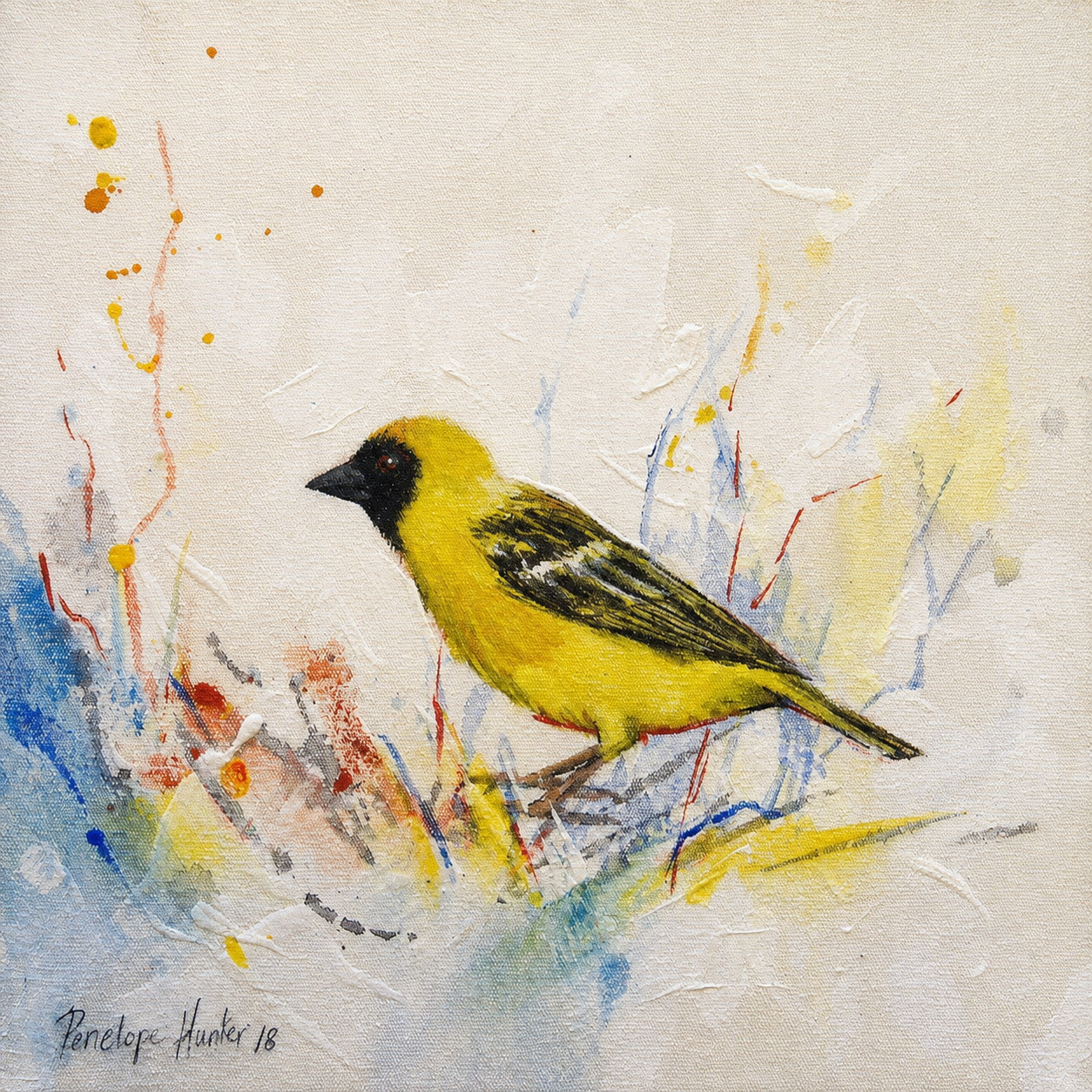 Penelope Hunter original acrylic painting on stretched canvas depicting a bright yellow weaver bird with a dark face