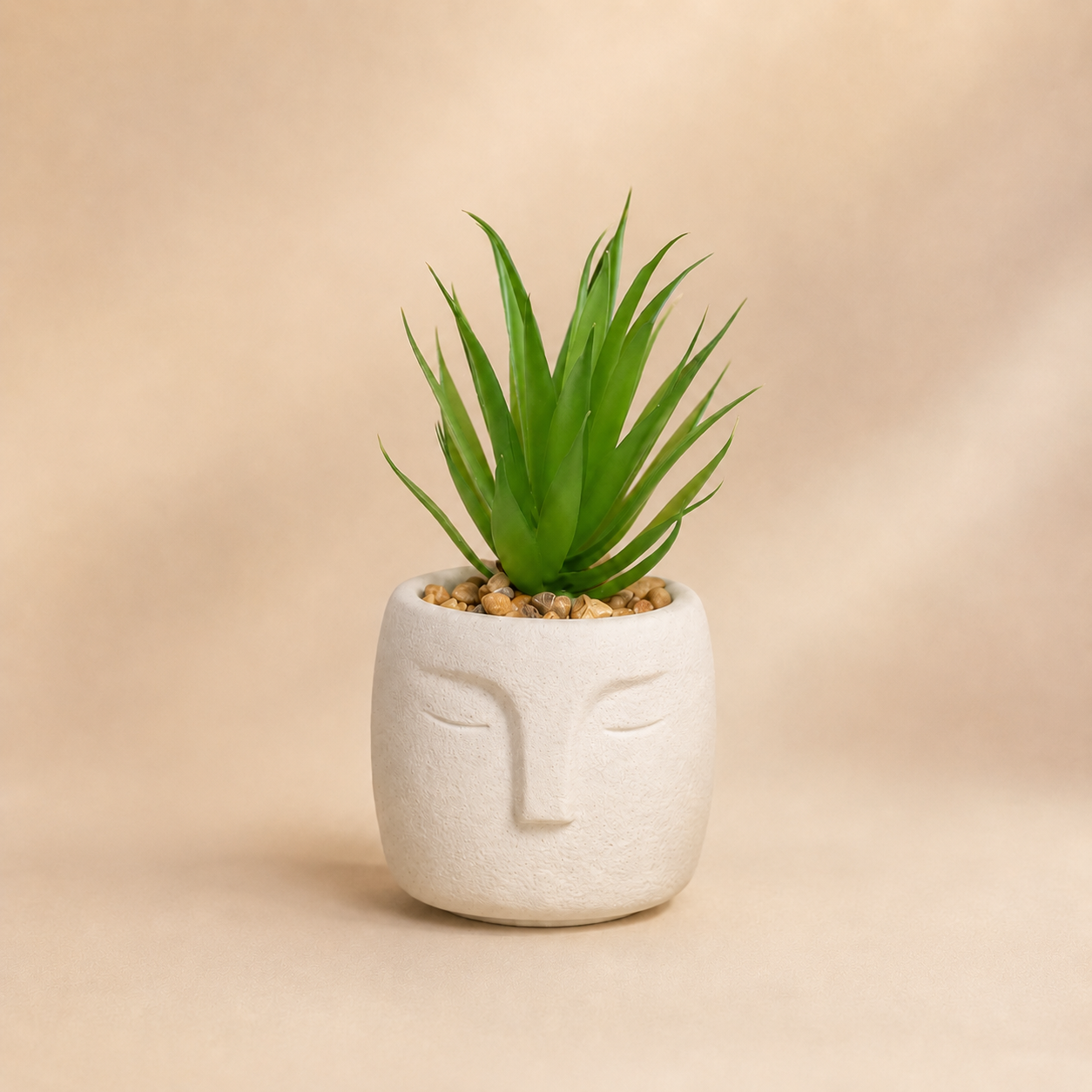 White Abstract Face Planter with Succulent photographed on a warm beige studio background