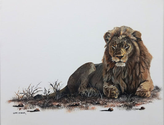 "Kind to Be" (Lion)