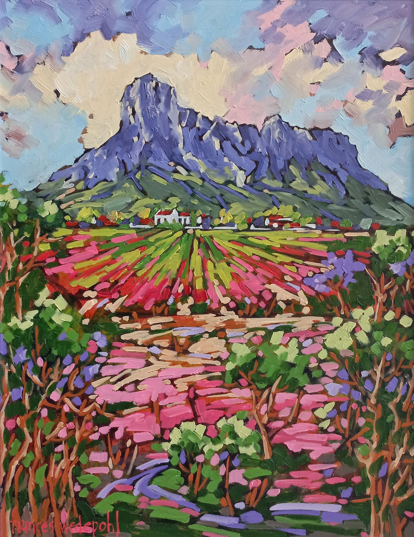 Pink Boschendal