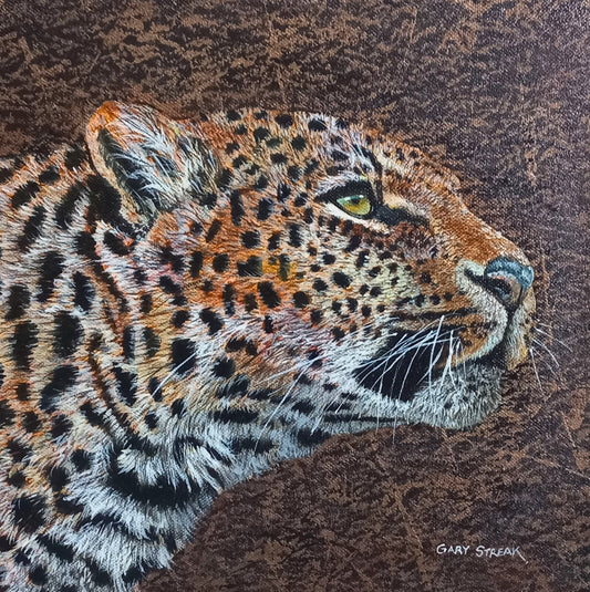 Gaze of the Leopard
