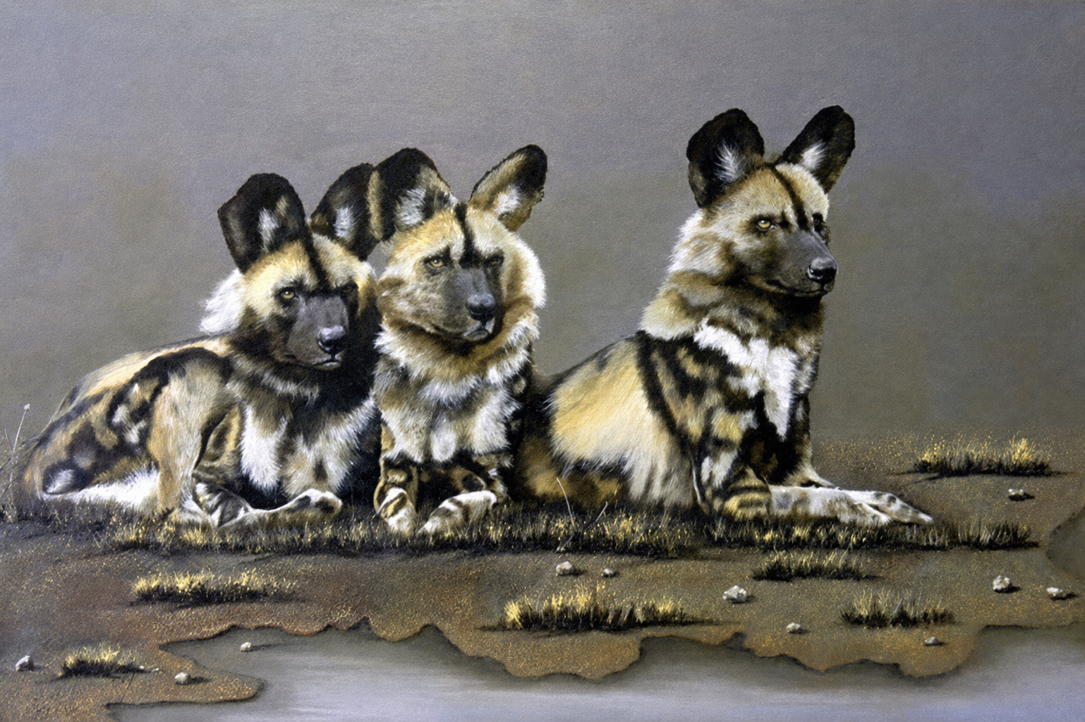 Original oil artwork featuring three African wild dogs resting together in a calm natural setting.