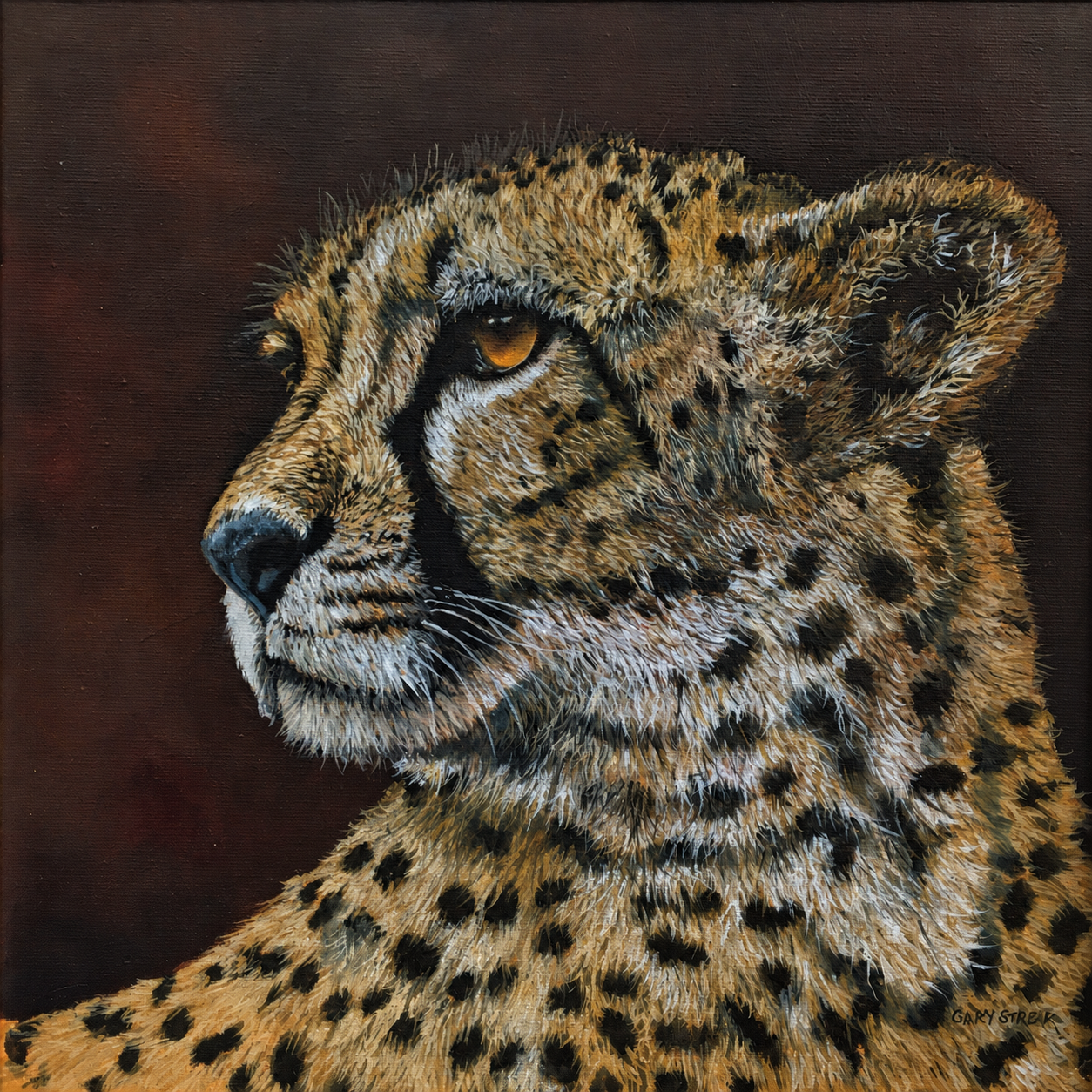 Gary Streak original oil artwork featuring a close-up cheetah portrait against a rich dark background.