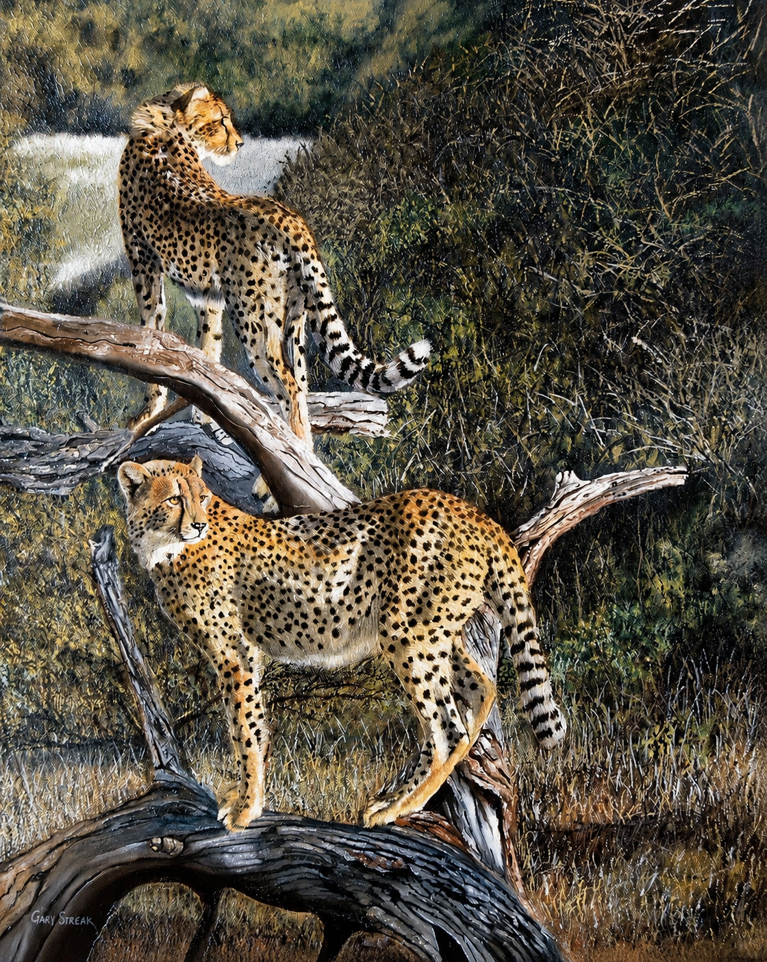 Original oil artwork featuring two cheetahs standing on fallen tree branches in a bushveld setting.