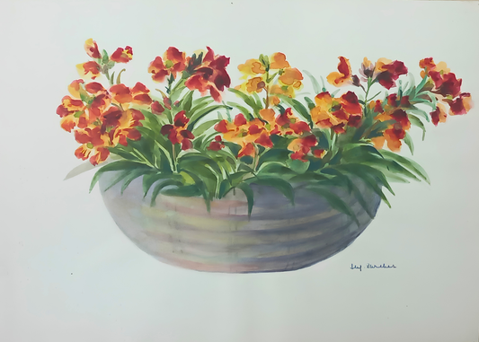 Botanical watercolour by Suz Zurcher of cymbidium orchids in a shallow planter, with orange, red and yellow blooms and lush green leaves. 