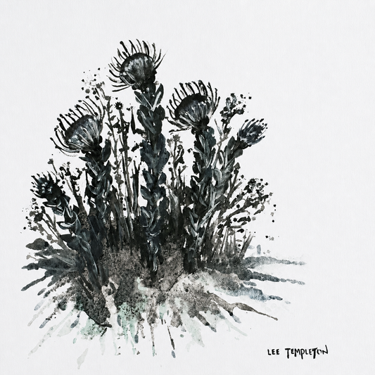 Lee Templeton original botanical artwork featuring a cluster of dark thistle-like flowers in an expressive monochrome style.