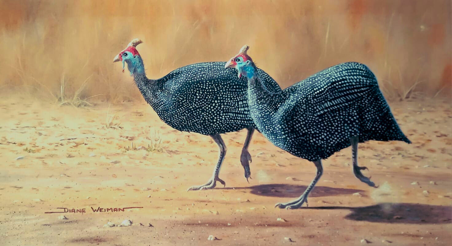 Pastel artwork of two guinea fowl walking across a dry, sandy landscape, their spotted feathers and red-blue faces rendered in rich, detailed pastel.