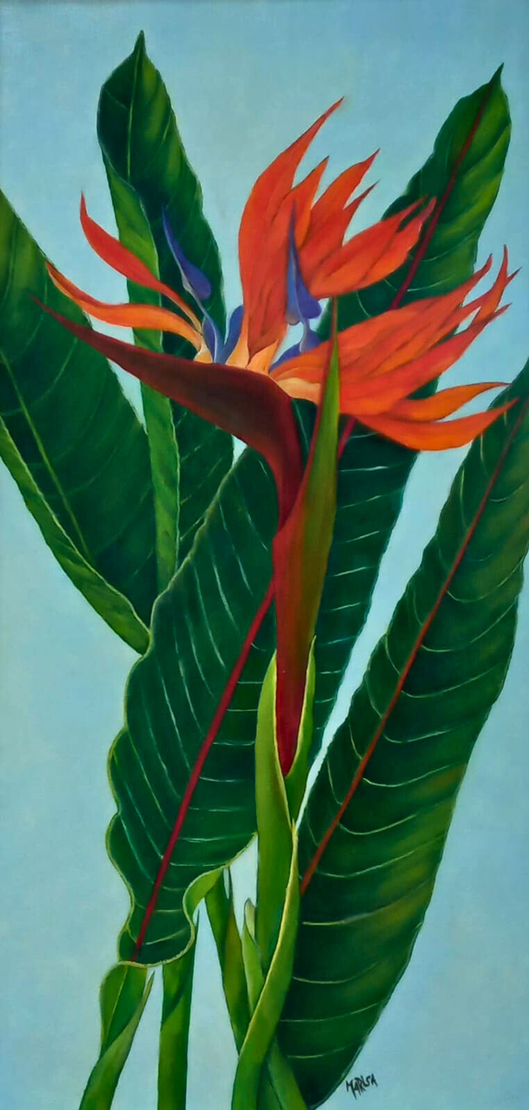 Oil painting of a vibrant Bird of Paradise flower with large green leaves, set against a soft blue background.