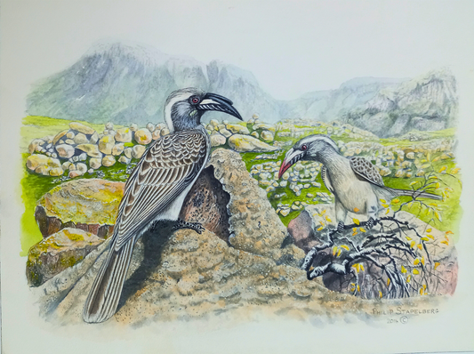 Philip Stapelberg original artwork featuring a pair of hornbills in a rocky landscape with mountains and soft natural vegetation.