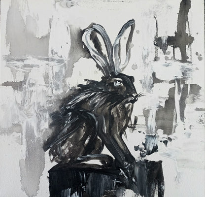 'Bunny Range'