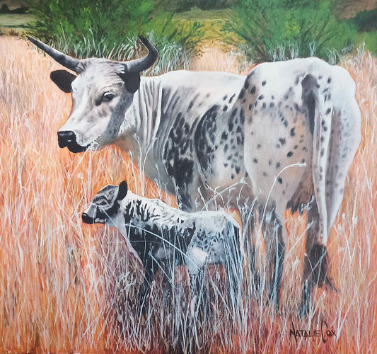 Nguni Calf and Mother