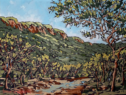 Summer Magaliesberg