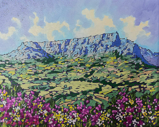 'Across the Fynbos'