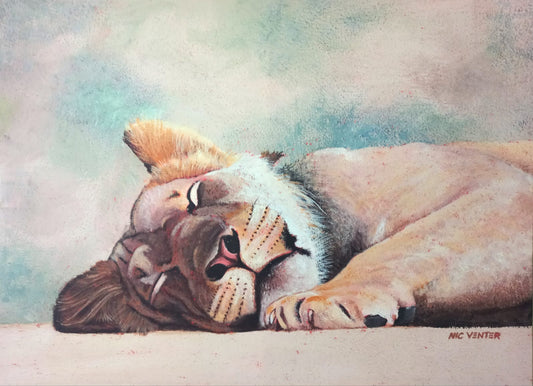 Sleeping Lioness