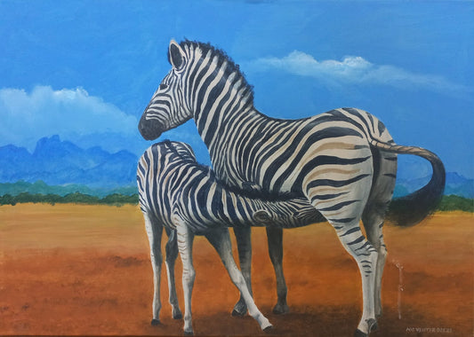 Zebra with Foal