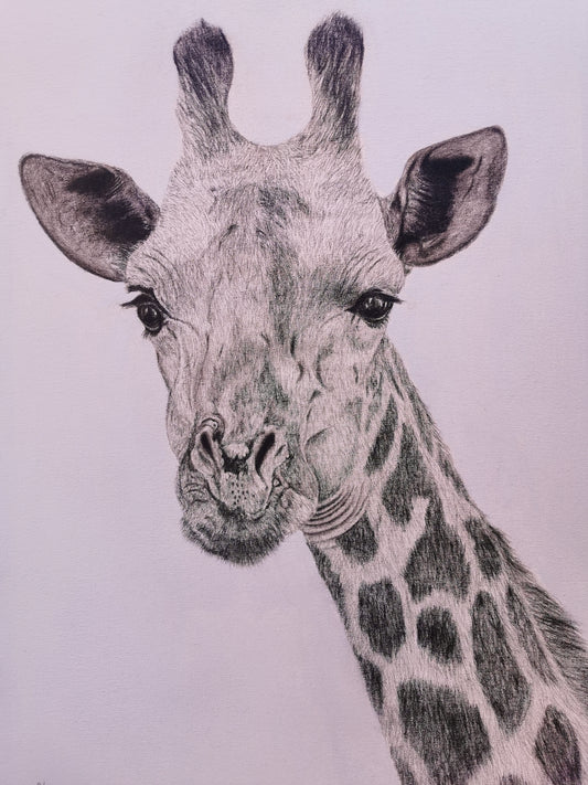 Graceful Heights - Giraffe