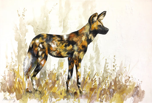 Wild Dog