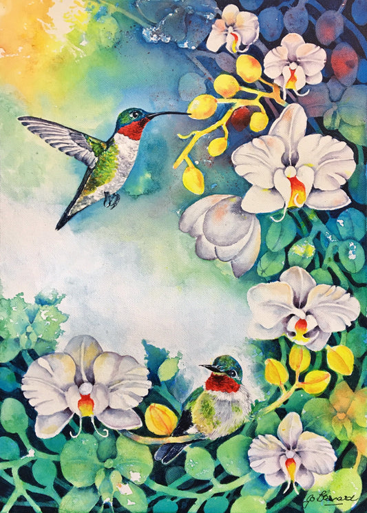 Hummingbirds on Orchid